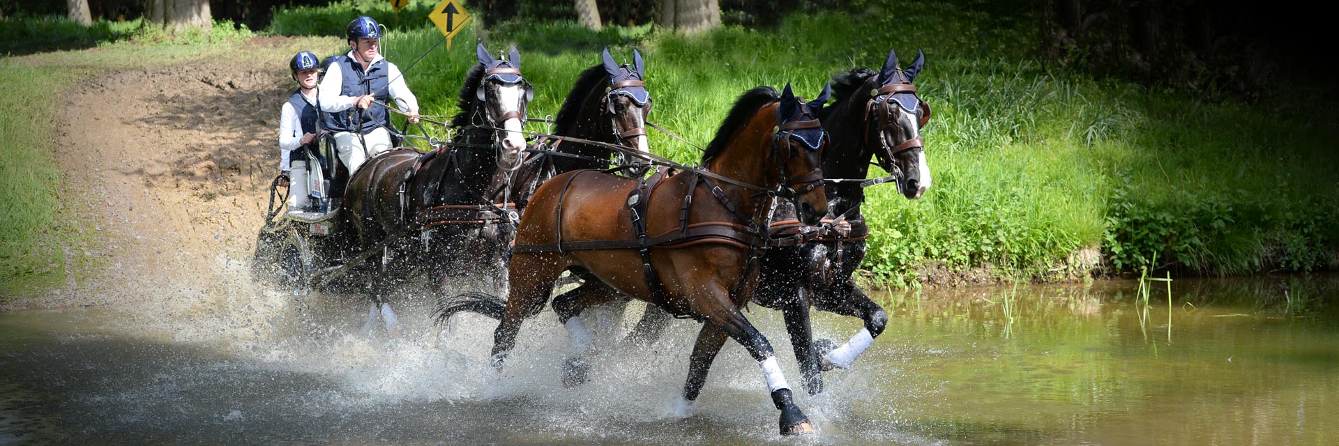 royal windsor horse show 61 hpower event management